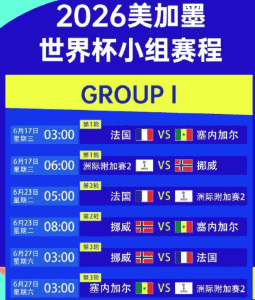 竞彩数据面板示意